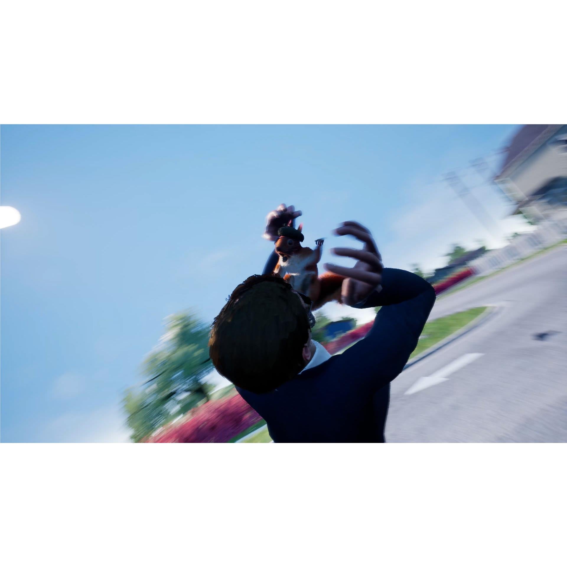 Squirrel With A Gun